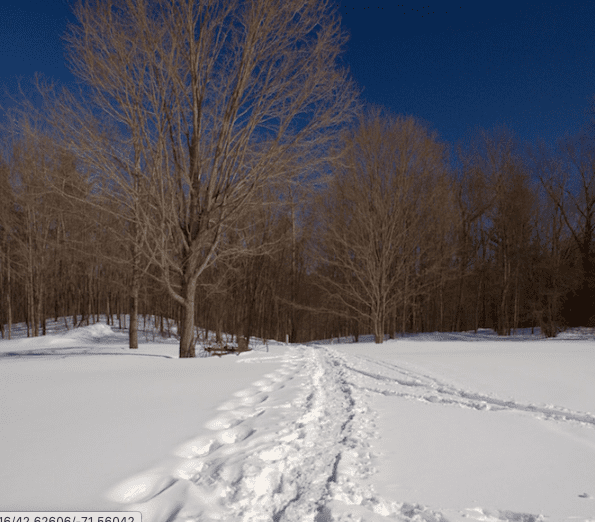 Groton Trails with Snow