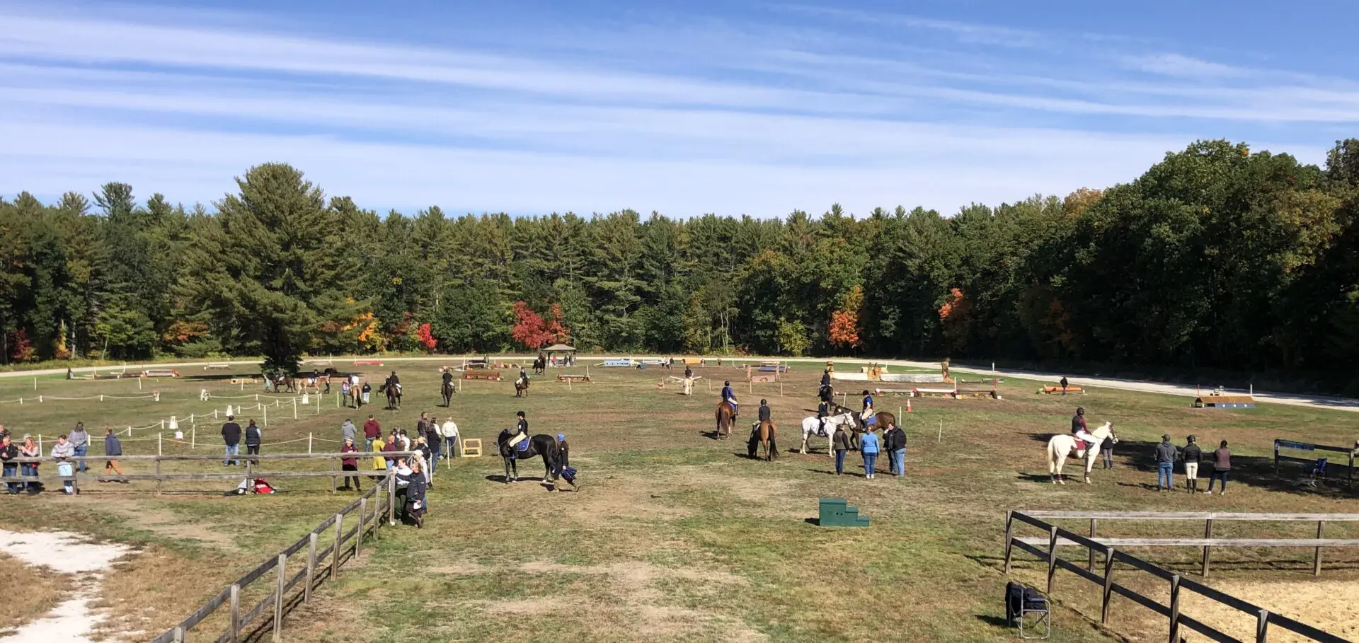 A group of people enjoying outdoor activities in a field with horses, exploring beautiful landscapes and rivers.